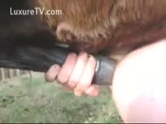 buried in the hilt